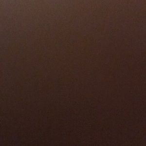 Meet your Posher, Carly